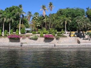Egitto 130 Aswan - Parco Botanico